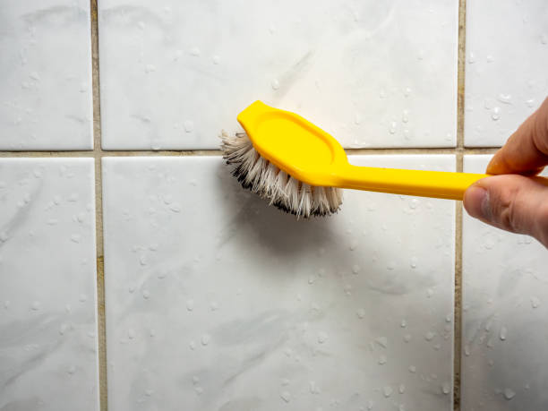 Mold Testing and Removal in Edinboro, PA