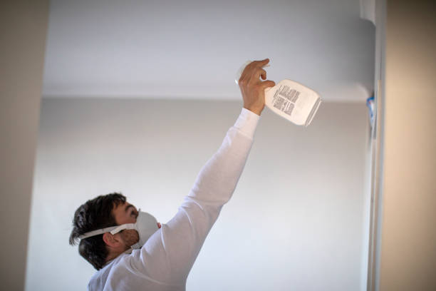 Professional Mold Removal in Edinboro, PA