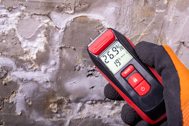 Best Mold Testing  in Edinboro, PA