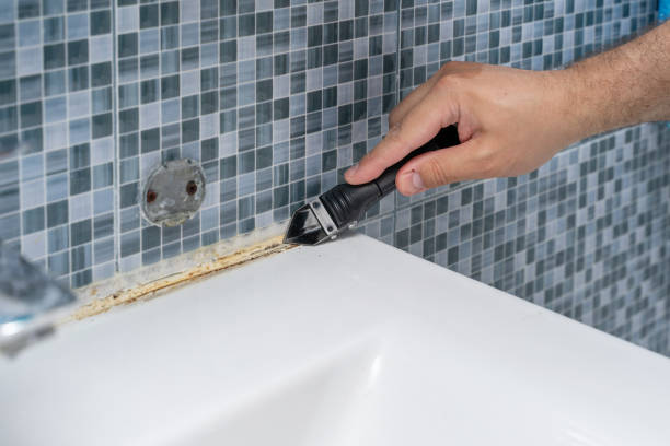Best Mold Damage Repair  in Edinboro, PA