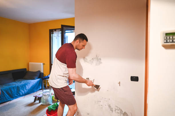 Best Certified Mold Removal  in Edinboro, PA